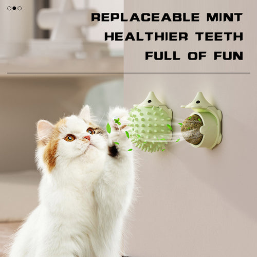 Corner Self-Groomer for indoor cats — MEWSWELL