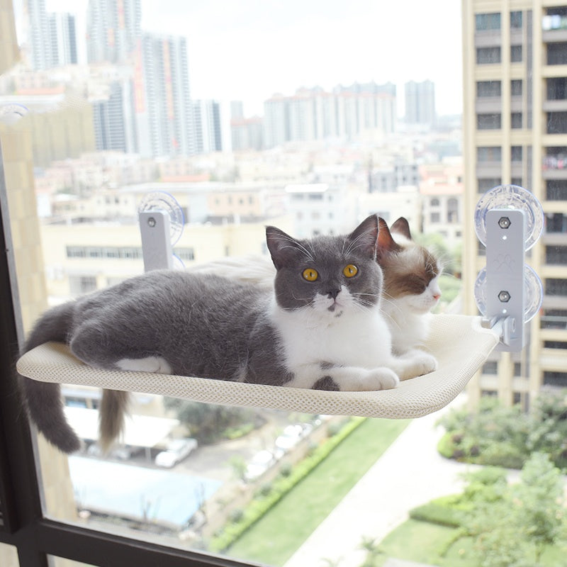 Space-Saving Window Cat Hammock for indoor cats — MEWSWELL